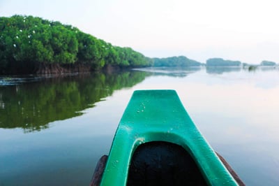 Kottukal Lagoon