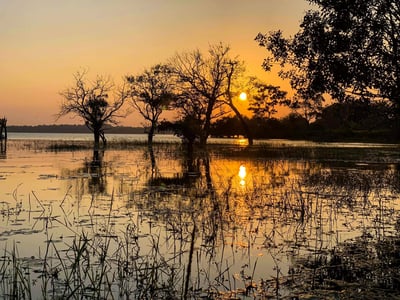 Kottukal Lagoon