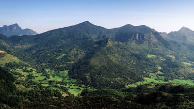 Knuckles Mountain Range