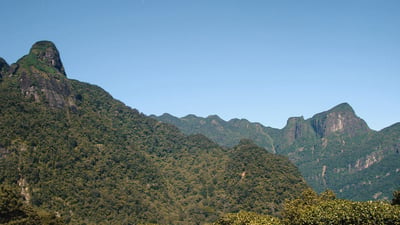 Knuckles Mountain Range