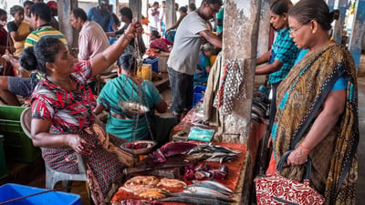 Jaffna Market