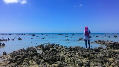 Jaffna Causeway And Chatty Beach