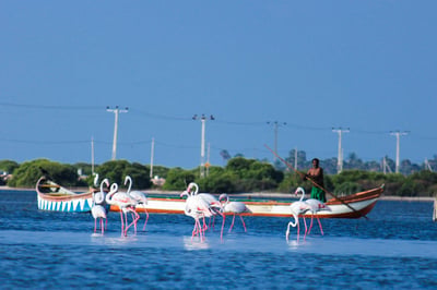 Jaffna Causeway And Chatty Beach
