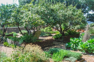 Ganewatta Medicinal Plant Garden