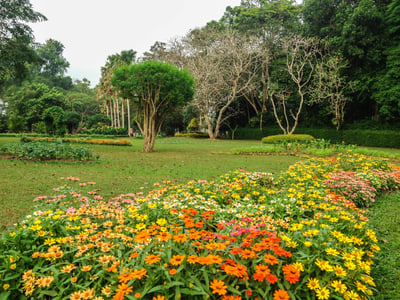Henarathgoda Botanical Garden