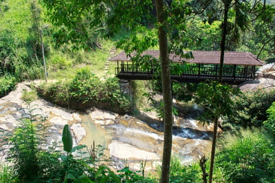 Bogoda Wooden Bridge