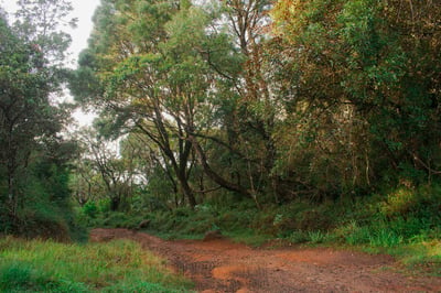 Devil’s Staircase