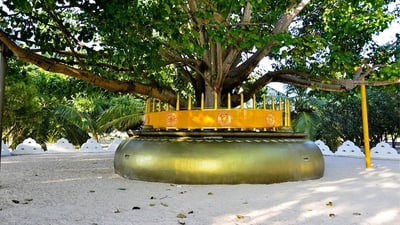 Dambakola Patuna
