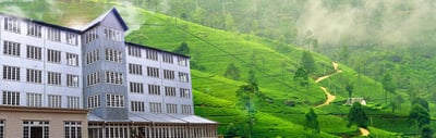 Ceylon Tea Museum