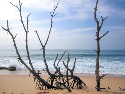 Calido Beach