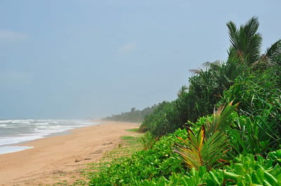 Calido Beach