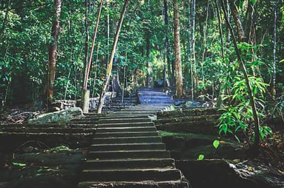 Bodhinagala Forest Hermitage