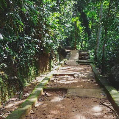 Bodhinagala Forest Hermitage