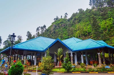Blue Field Tea Factory