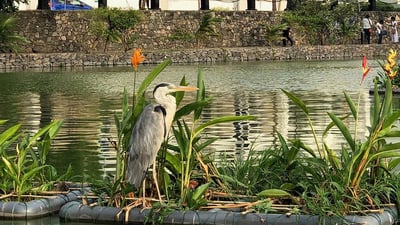 Beira Lake