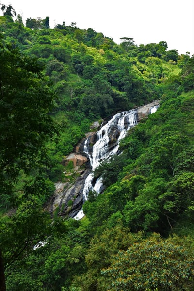 Asupini Ella Falls