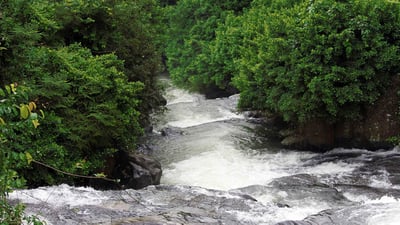 Asupini Ella Falls