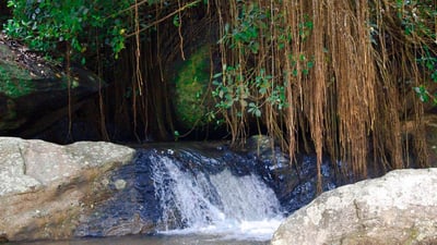 Asupini Ella Falls