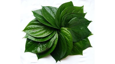 Sheaf of Betel