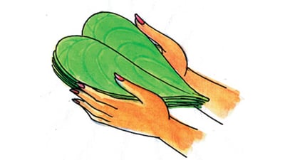 Sheaf of Betel