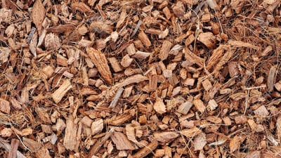 Coconut Husk Chips