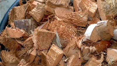Coconut Husk Chips