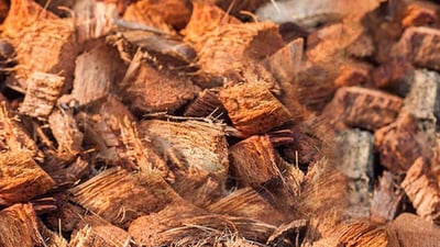 Coconut Husk Chips