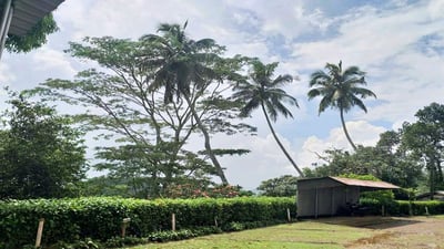 Homadola Estate