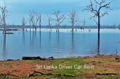 Galge Entrance of Yala National Park