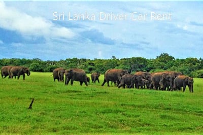 Galge Entrance of Yala National Park