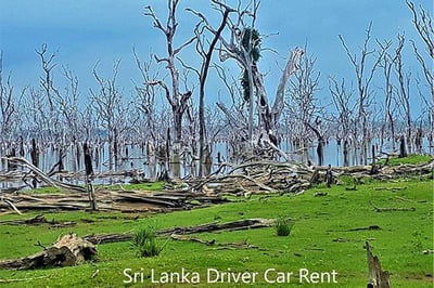 Galge Entrance of Yala National Park