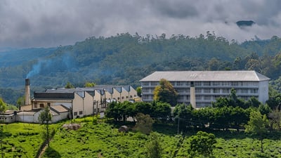 Court Lodge Tea Estate