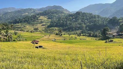 Heeloya Village