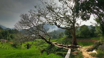 Heeloya Village