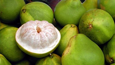 Citrus maxima
