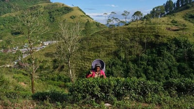 The village of Gala Muduna