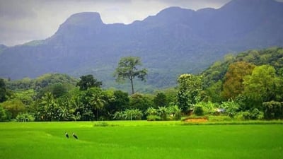 The village of Gala Muduna