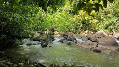 Hakgedi Ella Waterfall