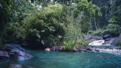 Hakgedi Ella Waterfall