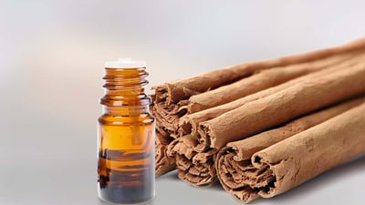 Ceylon Cinnamon Leaf Oil