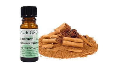 Ceylon Cinnamon Leaf Oil