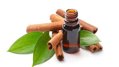 Ceylon Cinnamon Leaf Oil