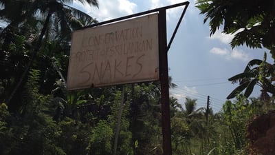 Snake Farm (Telijjawila)