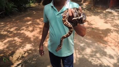 Snake Farm (Telijjawila)