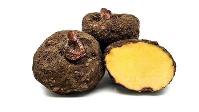 Elephant Foot Yam