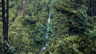 Wedamulla falls