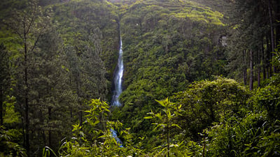 Wedamulla falls