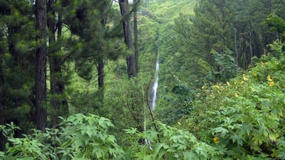Wedamulla falls