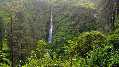Wedamulla falls