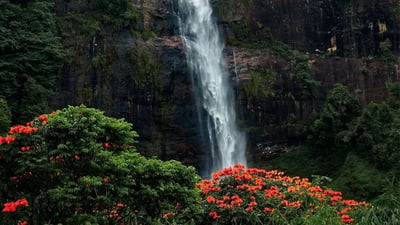 Gartmore Falls